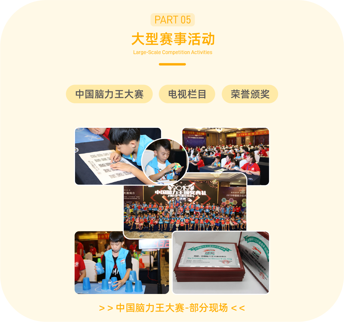 引領右腦課程體系