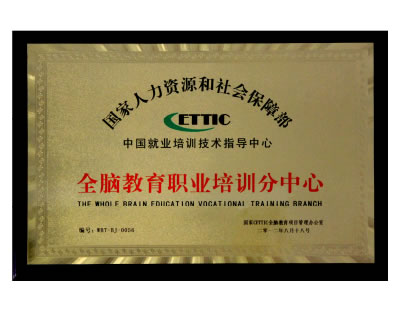 引領(lǐng)右腦榮譽(yù)